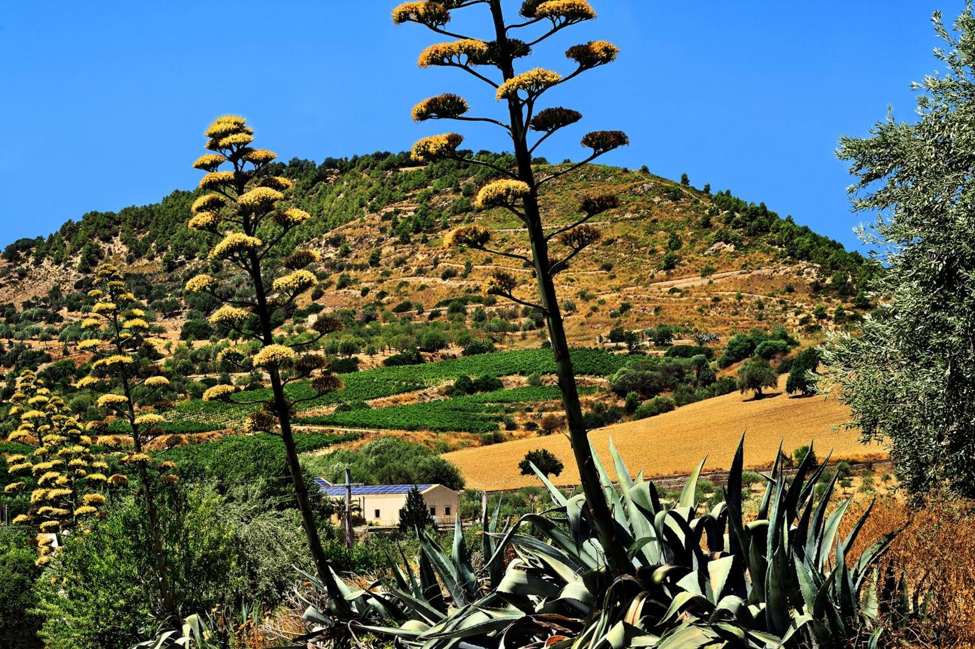 Kallikoros Country Resort & Spa Noto Exterior photo