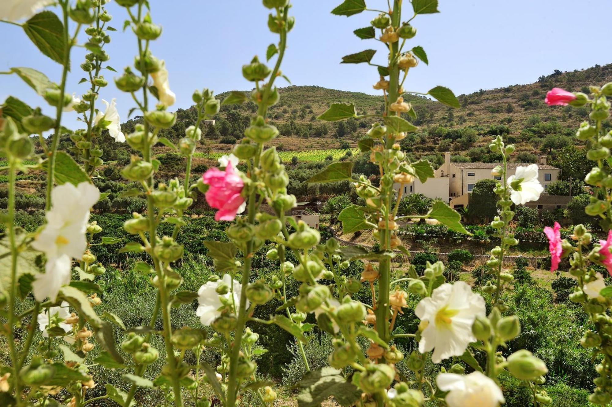 Kallikoros Country Resort & Spa Noto Exterior photo
